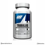 GAT Sports Tribulus – 90 Tablets | Natural Testosterone Support & Performance Booster - Hold Strong Fitness & Nutrition