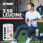Scivation Xtend Original BCAAs Powder - 7g BCAAs for Men & Women | 30 Servings, Xtend Watermelon - Hold Strong Fitness & Nutrition