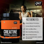 QNT Creatine Monohydrate - 250g, 83 Servings - Hold Strong Fitness & Nutrition