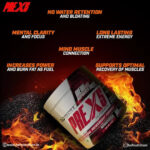 Doctors Choice DC PRE-X5 Ultimate Professional PreWorkout - 350 g, 50 Serving, Tropical Orange - Hold Strong Fitness & Nutrition