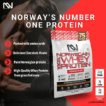 Nortech Nutrition 100% Norwegian Whey - 2.27kg/5Lb, 75 Serving, Classic Chocolate Nortech Nutrition
