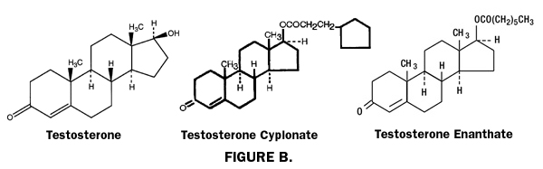 Test C vs Test E vs Test P testosterone ester comparison
