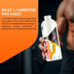 L Carnitine Pro Liquid 3300mg fat burner supplement